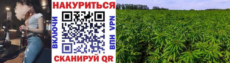 Купить наркотик аптеки Торжок СК Гашиш МАРИХУАНА Кокаин