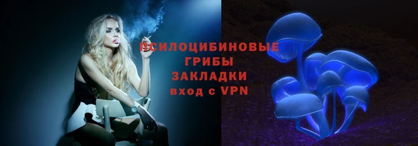 прущая мука Арсеньев